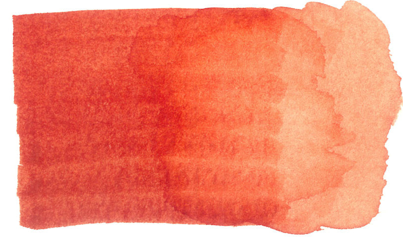 Spectra AD Aqua Pro 3 Scarlet Red