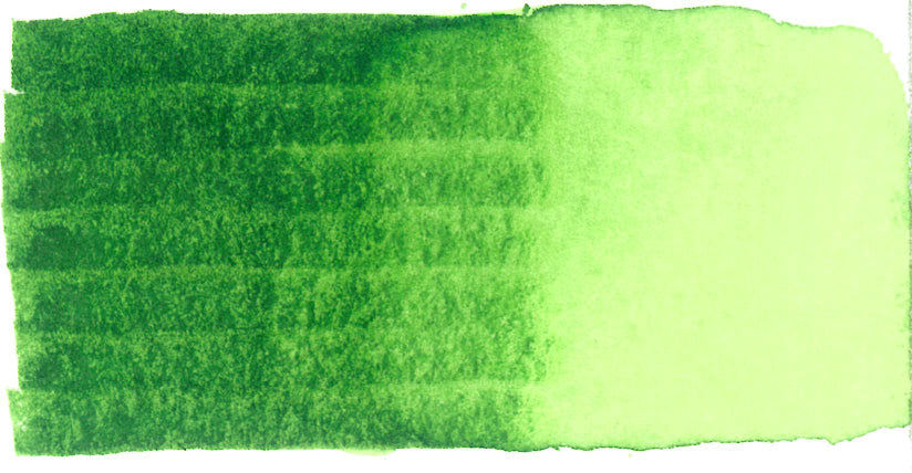 Spectra AD Aqua Pro 22 Sap Green