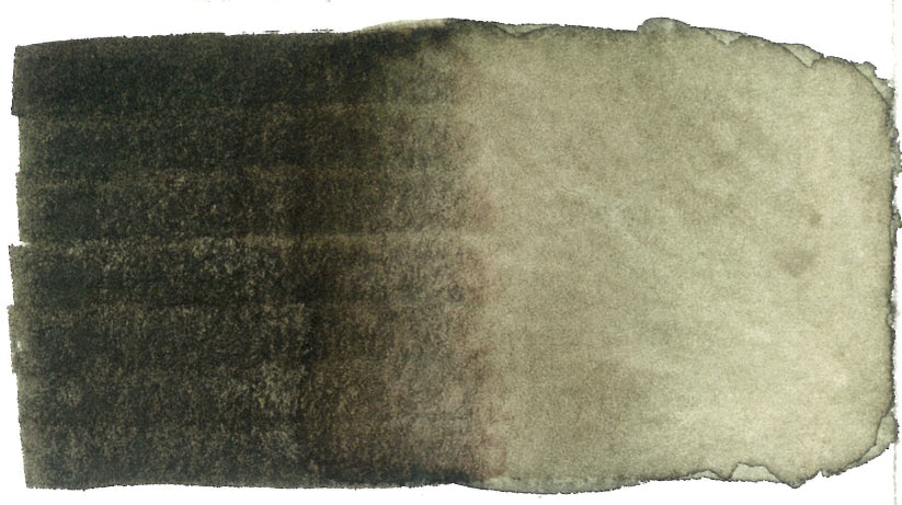 Spectra AD Aqua Pro 25 Burnt Umber