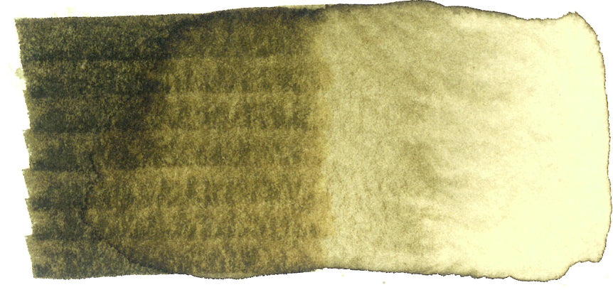 Spectra AD Aqua Pro 28 Raw Umber
