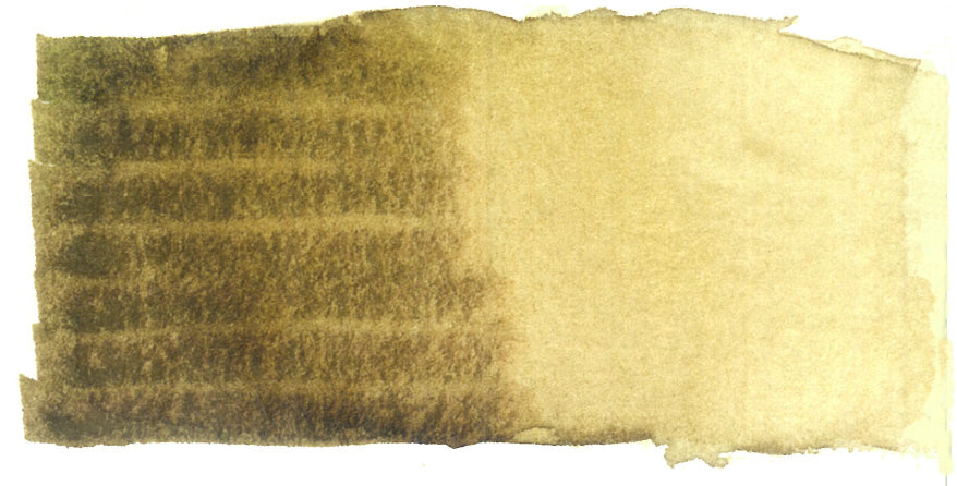 Spectra AD Aqua Pro 30 Raw Sienna