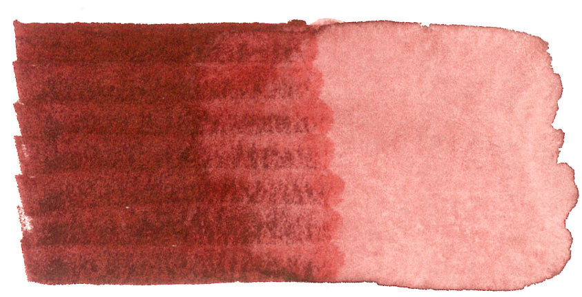 Spectra AD Aqua Pro 31 Brown Madder