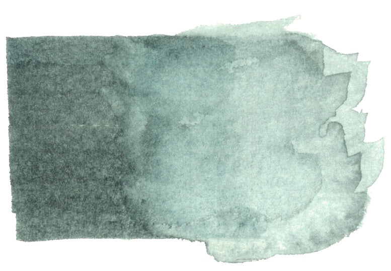 Spectra AD Aqua Pro 42 Cool Gray 3