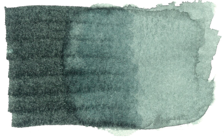 Spectra AD Aqua Pro 43 Cool Gray 4