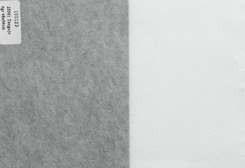 Mino Tengujo 9 g/m²