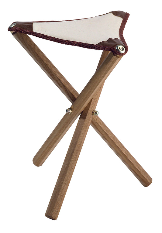 a close up of a bird flying in the sky