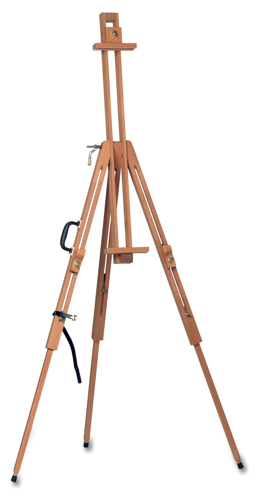 a small bird is standing on a branch