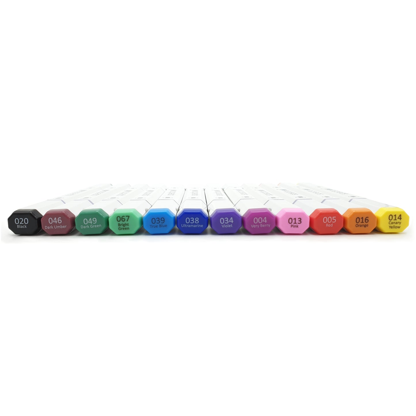 Set of 12 - Basic