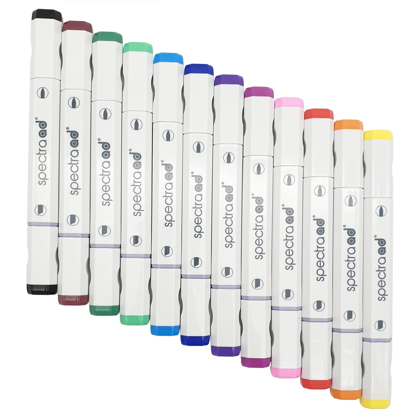 Set of 12 - Basic