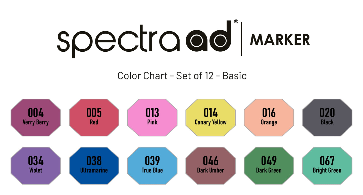 Set of 12 - Basic