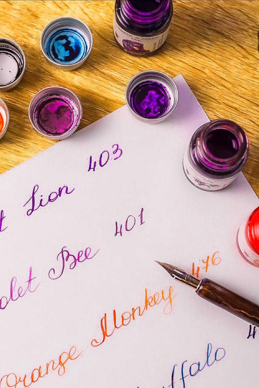 Octopus Write and Draw – Aniart - Everything for Art