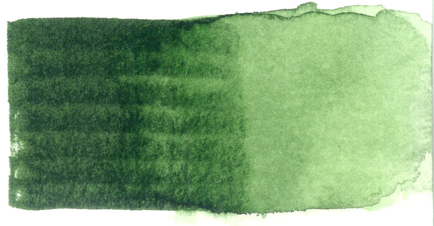 Spectra AD Aqua Pro 21 Leaf Green